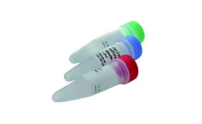 DNA Library Prep Kit