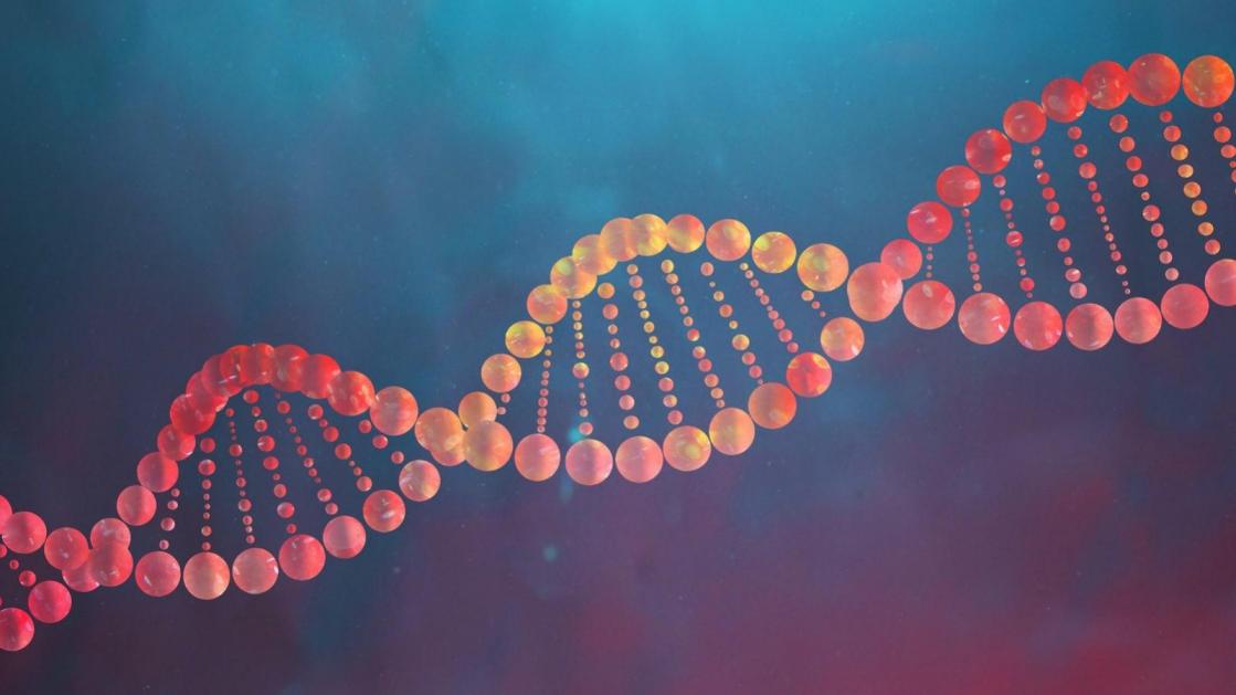 DNA Shearing Ultrasonic System