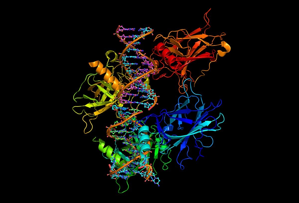Protein Analysis Imaging Equipment