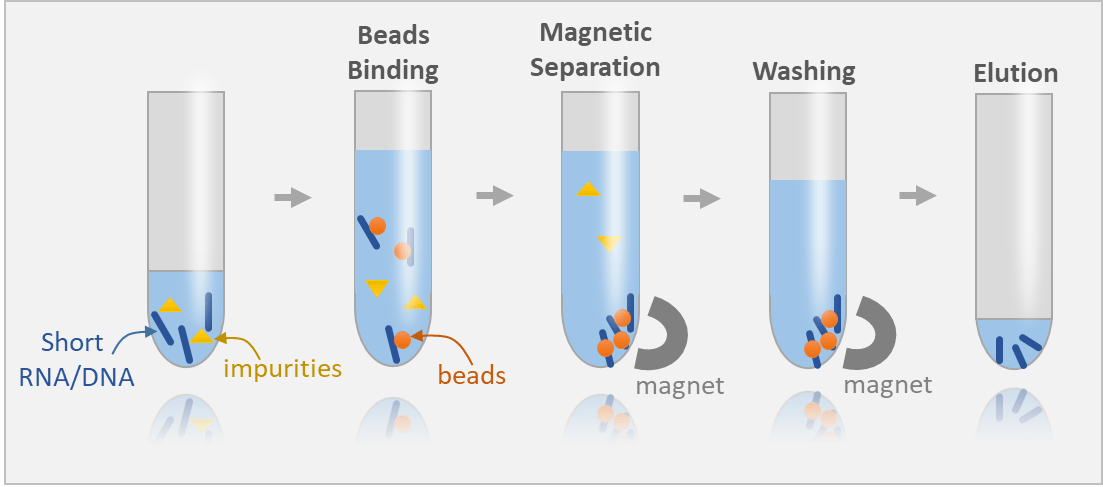 Magnetic Rack for RNA Isolation