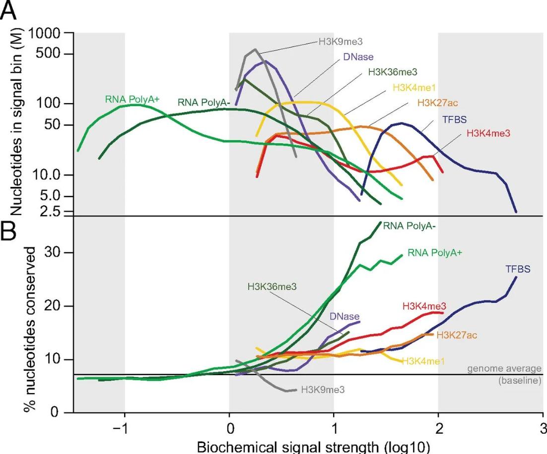 Ultrasonicator for Chromatin Shearing