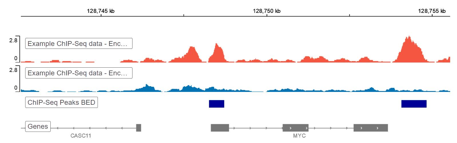 ChIP-Seq Data Analysis Pipeline