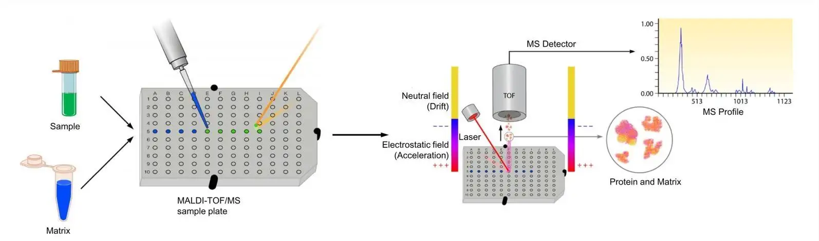 DNA Shearing Ultrasonicator