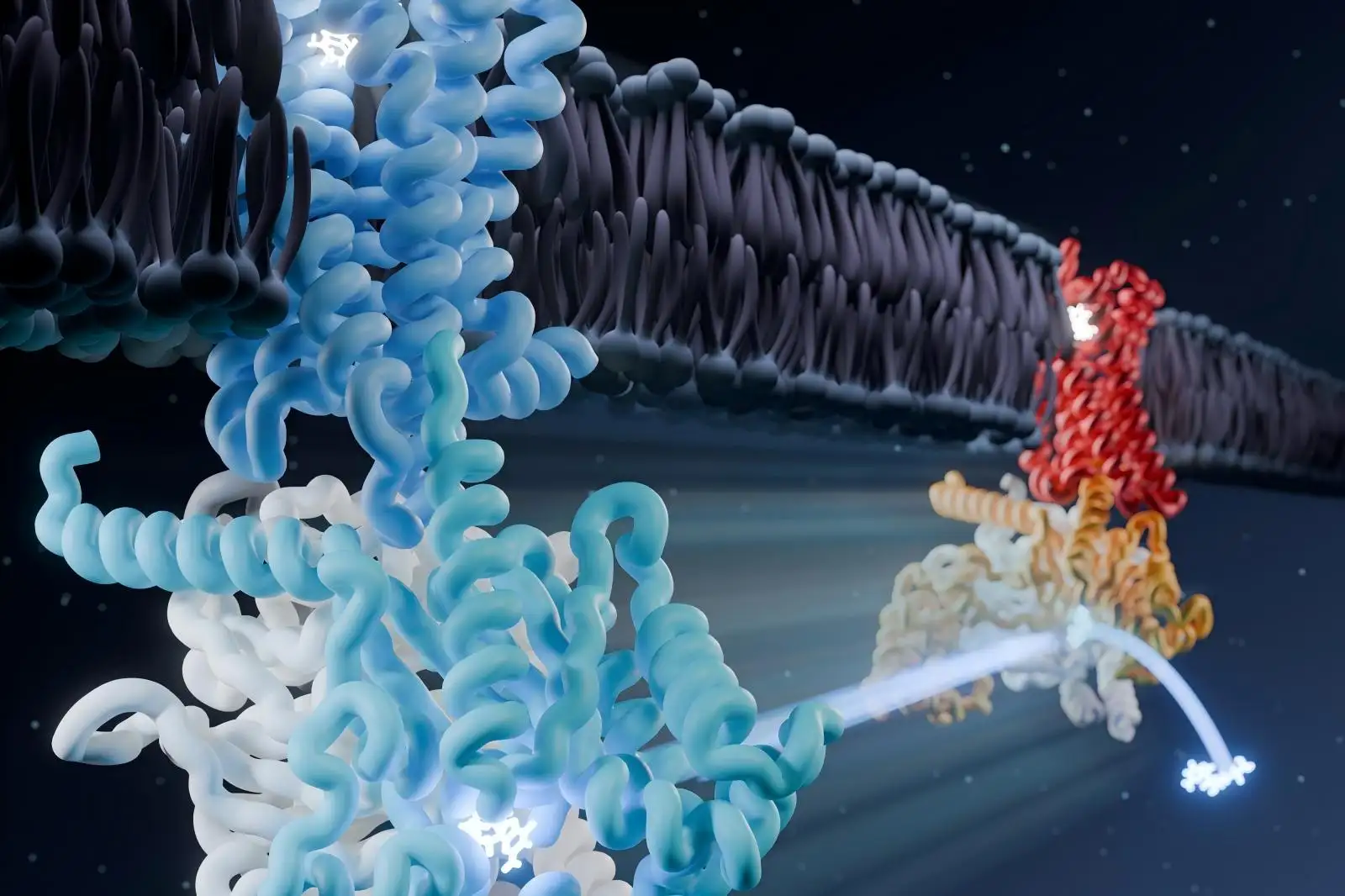 Lab Ultrasonic Sound Energy Device Super fast precast gel for gel electrophoresis Magnetic cell separation device DNA fragmentation DNA electrophoresis magnetic separation for molecular biology RNA gel imaging platform Magnetic cell separation device GPCR membrane protein expression and purification Nucleic Acid Scavenger